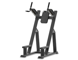 雙杠提膝訓(xùn)練器 PSM―FB8027 雙杠提膝訓(xùn)練器 PSM―FB8027